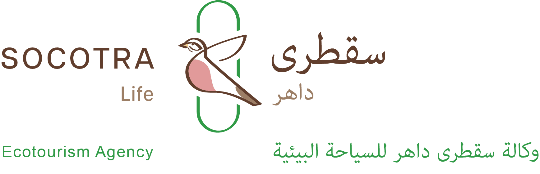Logo bil 2@4x