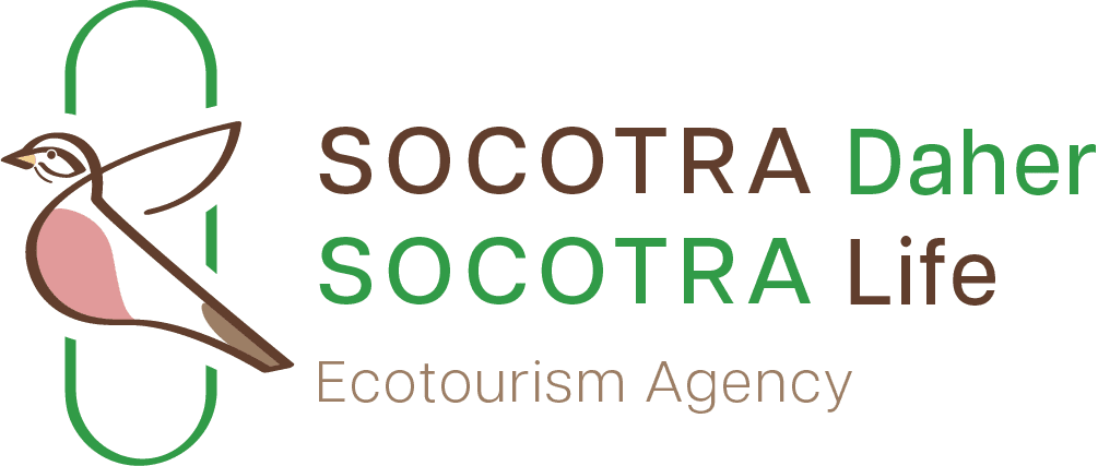 Socotra Web Logo 1